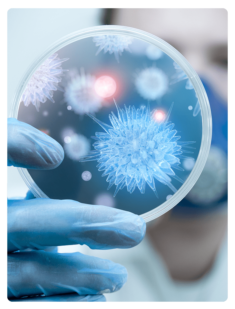 Viruses And Bacteria Min